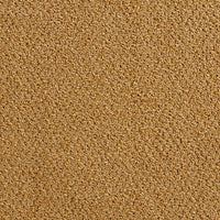 Golden Ocher