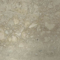 Italian Silver Lotu Travertine
