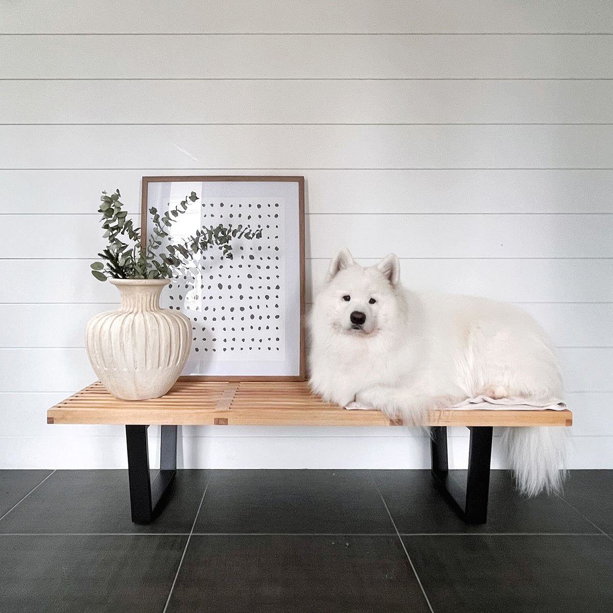Platform Bench - Final Sale