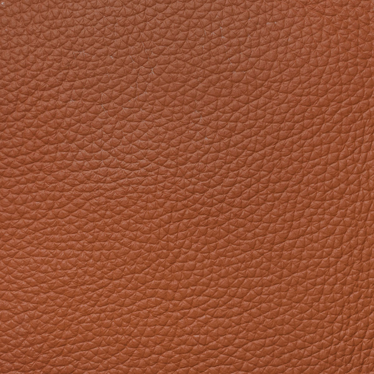 Top Grain Forte (Exclusive to Office Chairs)