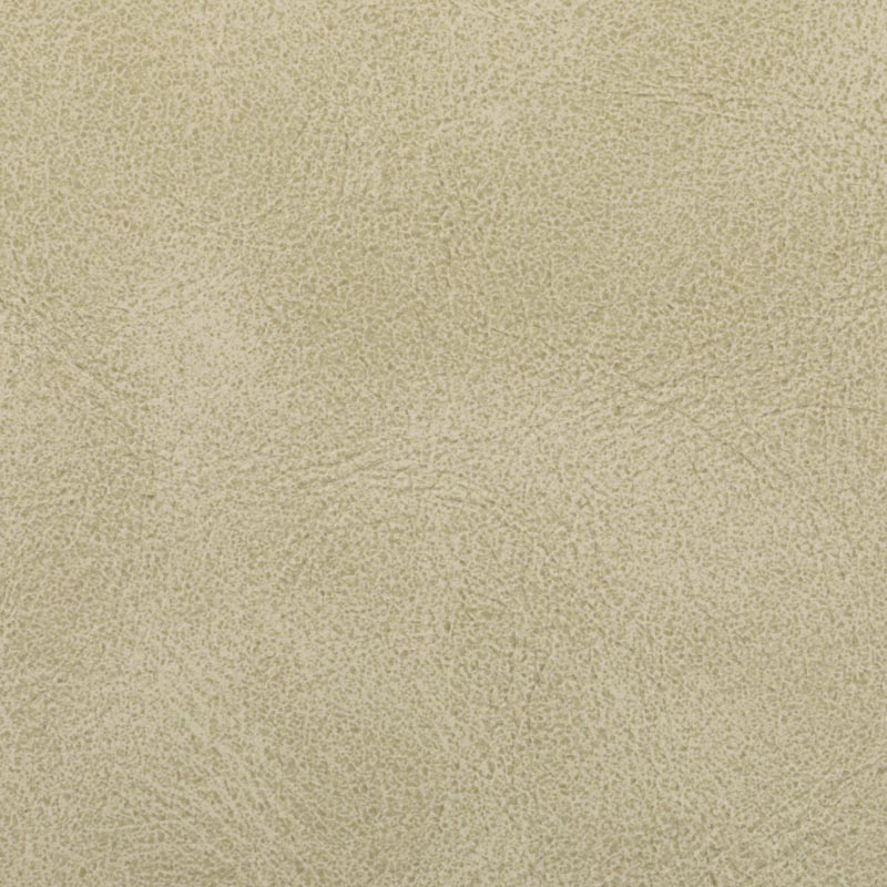 Vegan Leather