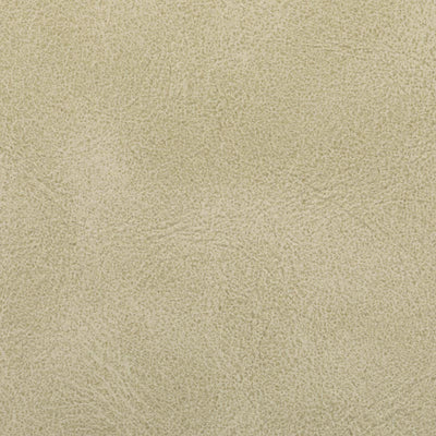 Distressed Stone Taupe