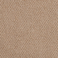 Desert Flax