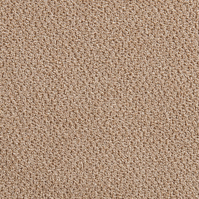 Desert Flax