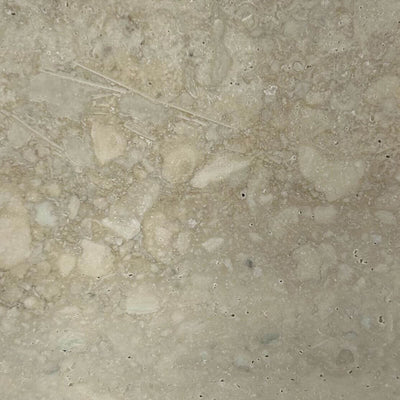 Italian Silver Lotu Travertine