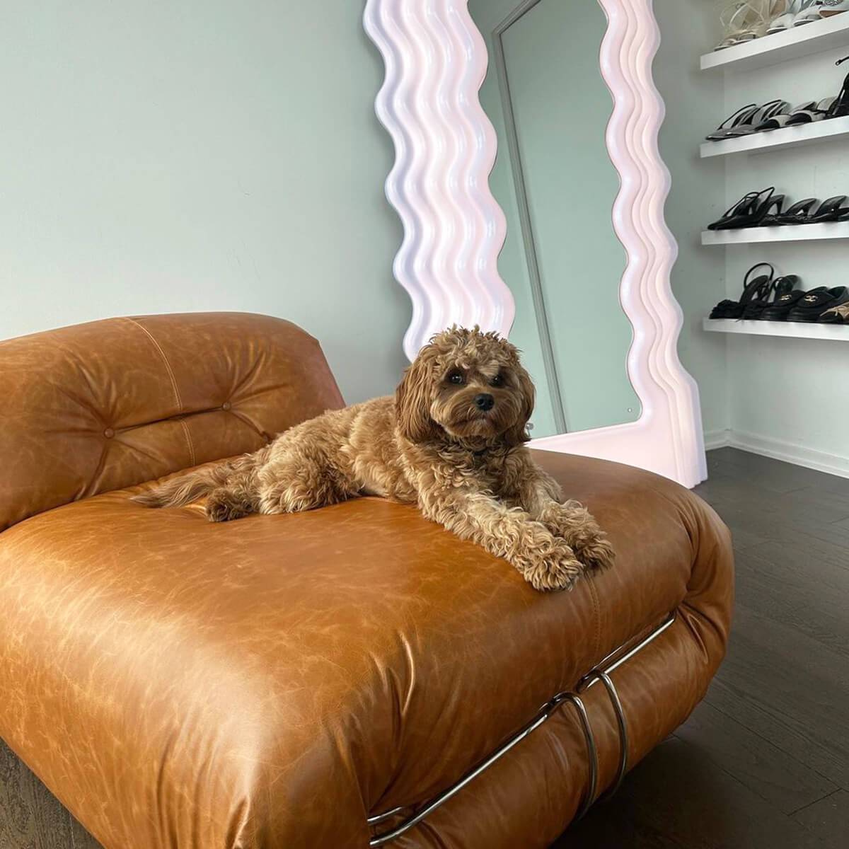 Soriana Sofa | Lounge Chair