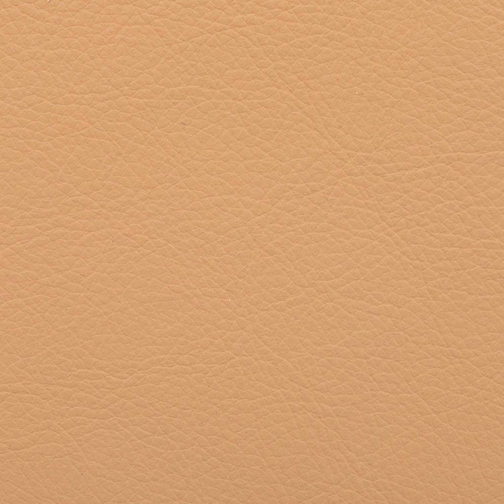 Aniline Leather