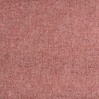 Coral Haze