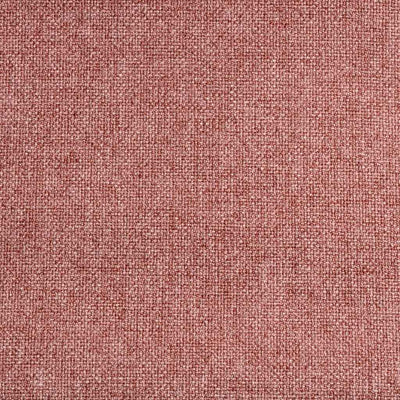 Coral Haze