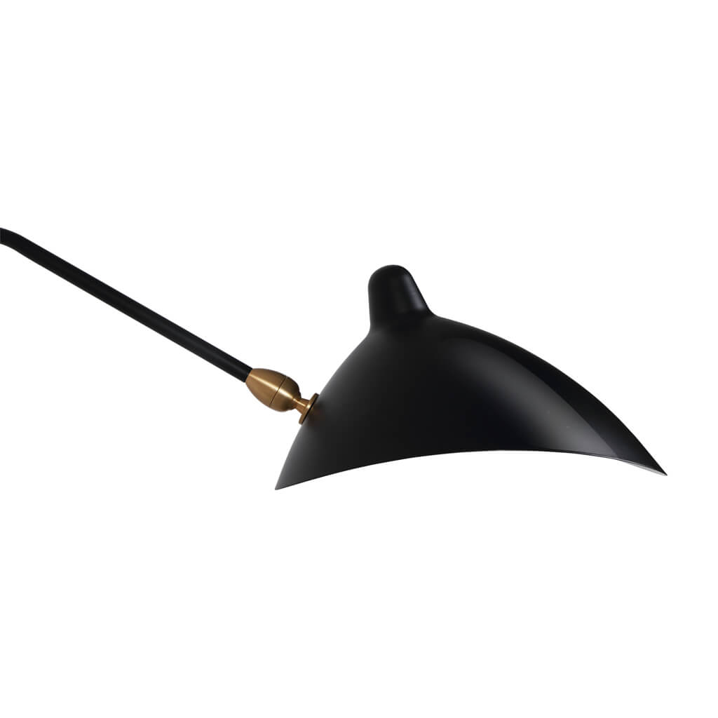 Aster Two-Arm Wall Sconce