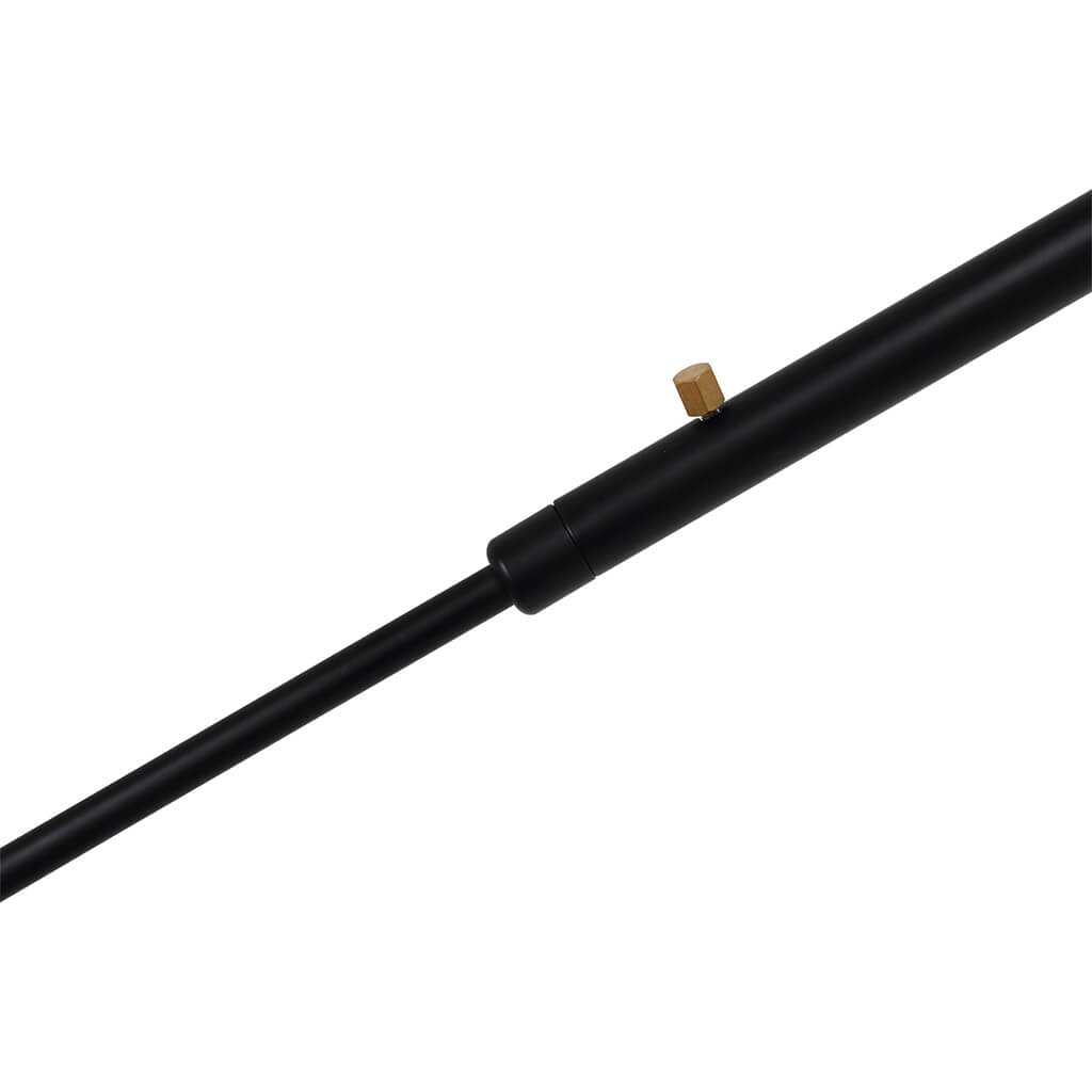 Aster Two-Arm Wall Sconce