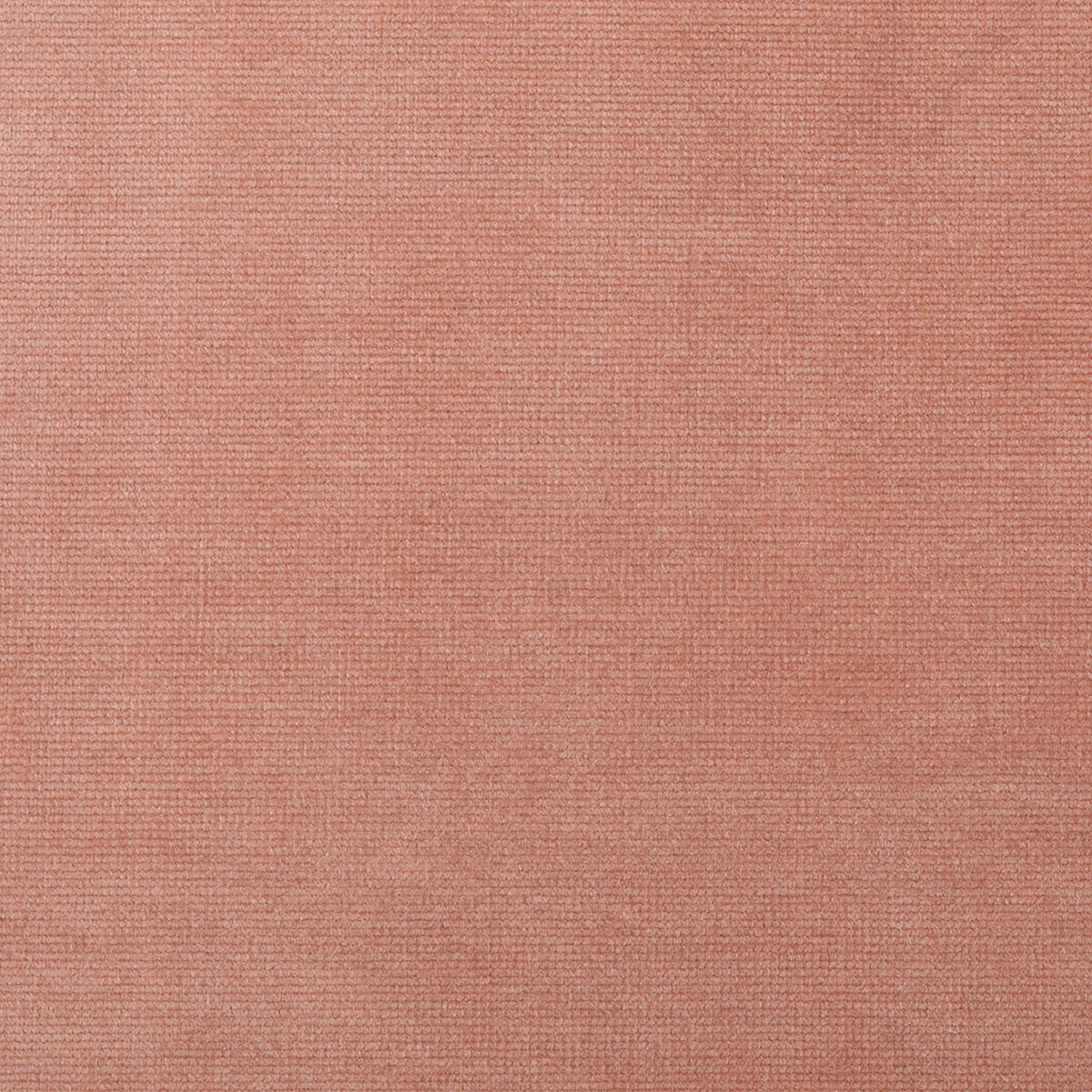 Lustrous Velvet